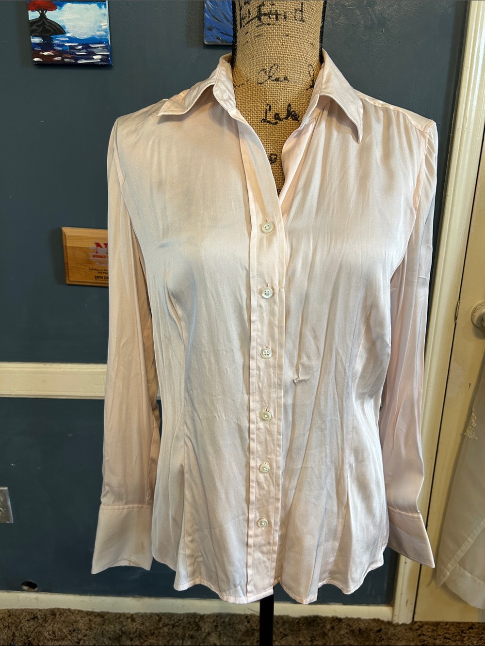 Ann Taylor Pale Pink Silk-Blend Button Down Shirt